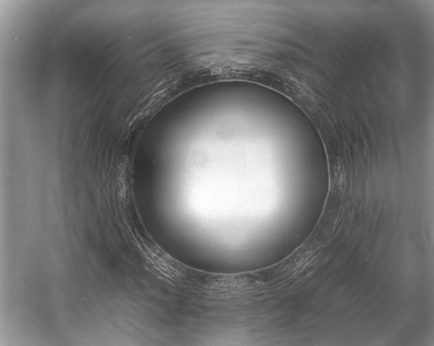 X0000057061012200509161446