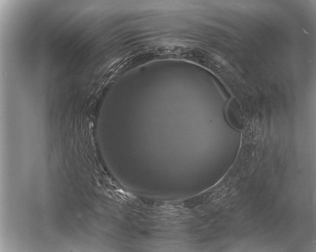 X0000057061013200509161446