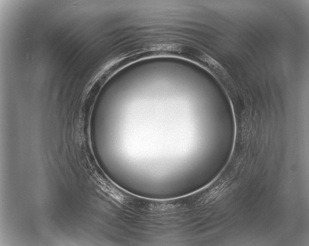 X0000057061019200509161446