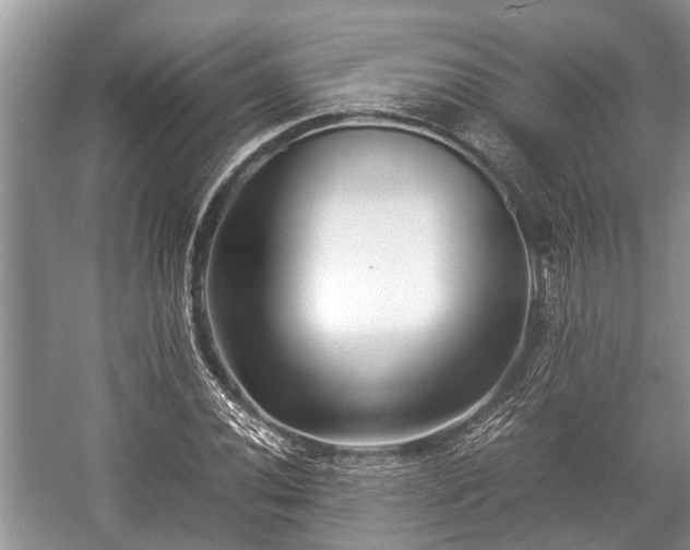 X0000057061020200509161446