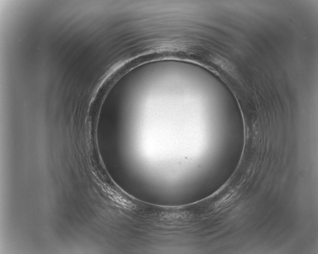 X0000057061021200509161446