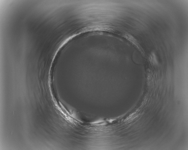 X0000057061024200509161446