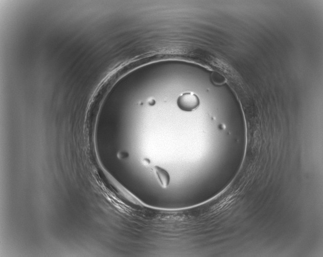 X0000057061027200509161446