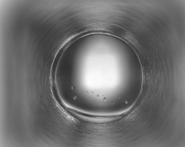 X0000057061028200509161446