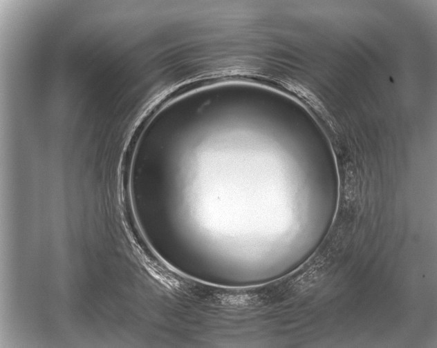 X0000057061031200509161446