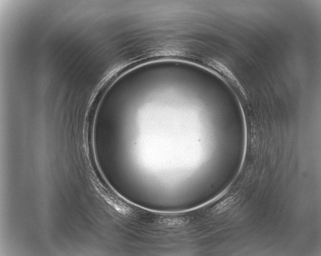 X0000057061035200509161446