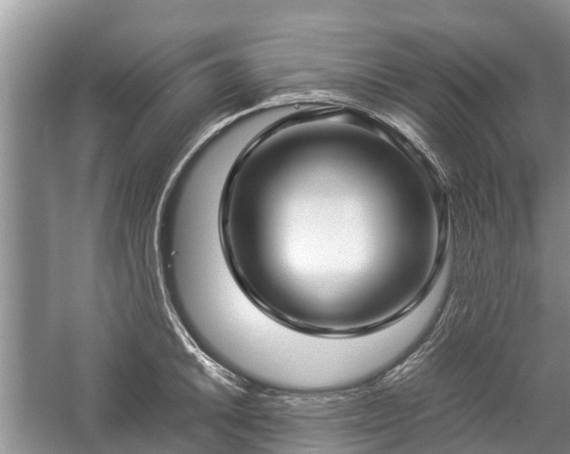 X0000057061046200509161446