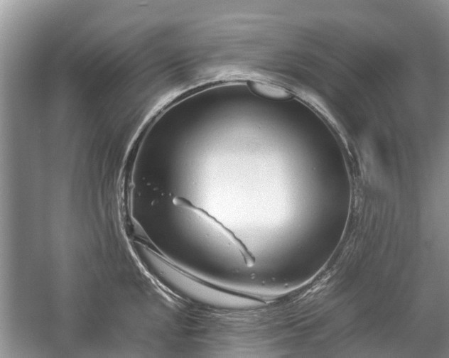 X0000057061048200509161446