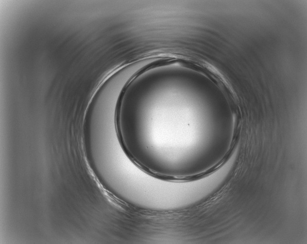 X0000057061050200509161447