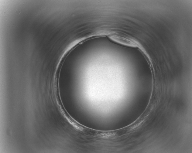 X0000057061053200509161447