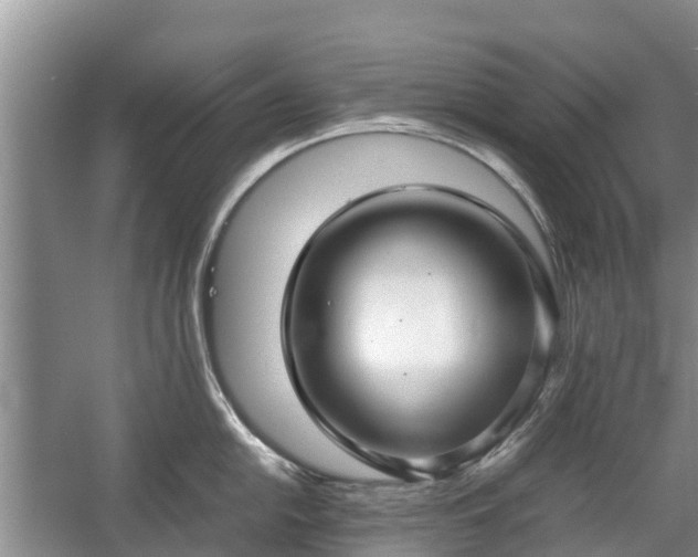 X0000057061054200509161447