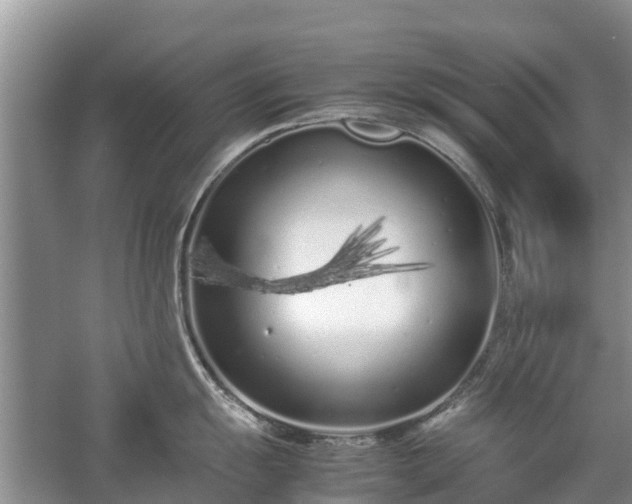 X0000057061055200509161447