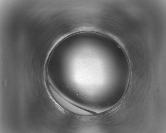 X0000057061056200509161447