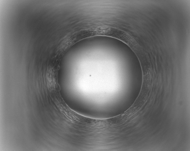 X0000057061058200509161446