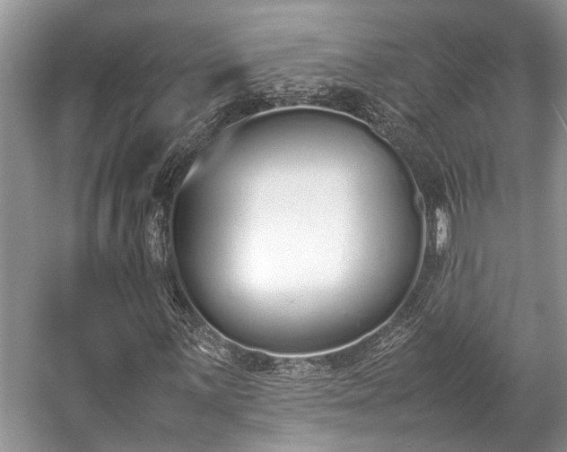 X0000057061059200509161446