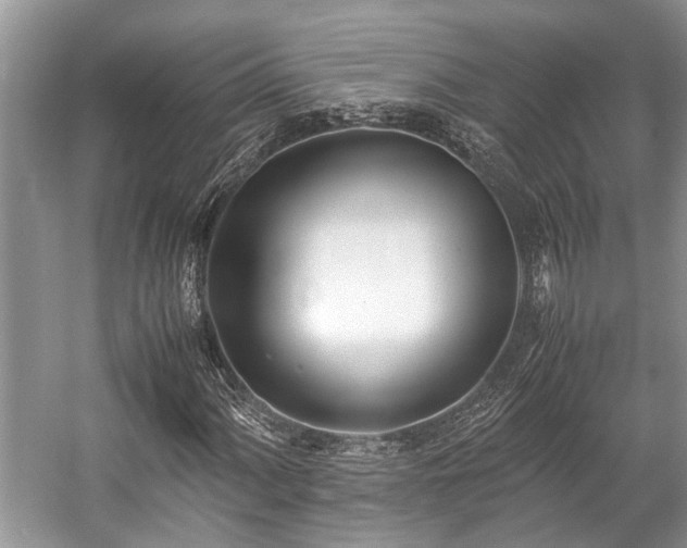 X0000057061060200509161446