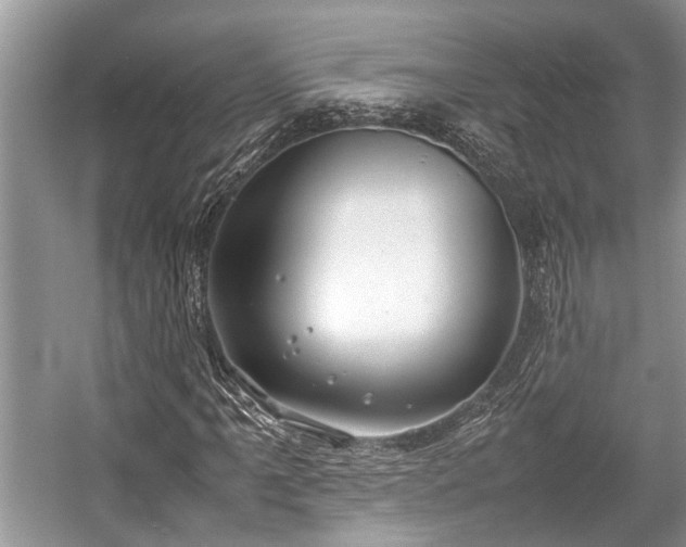 X0000057061061200509161446