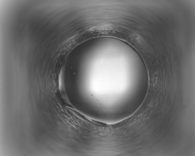 X0000057061062200509161446