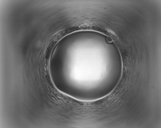 X0000057061063200509161446