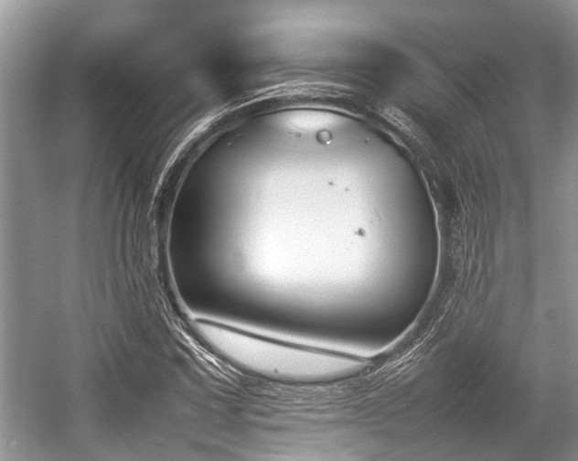 X0000057061067200509161446