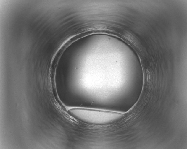 X0000057061068200509161446