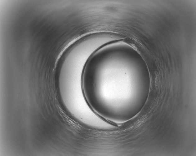 X0000057061069200509161446