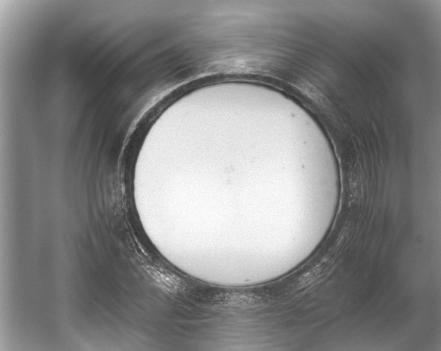 X0000057061070200509161446