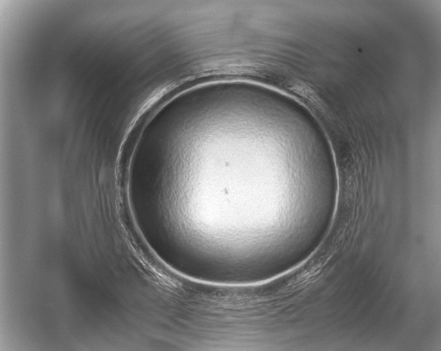 X0000057061071200509161446