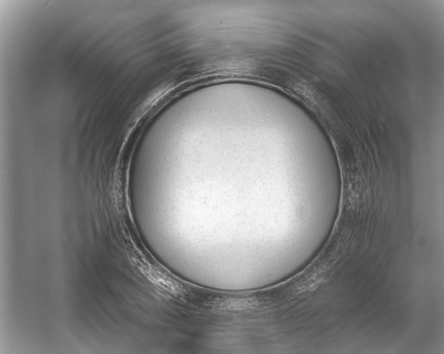 X0000057061074200509161446