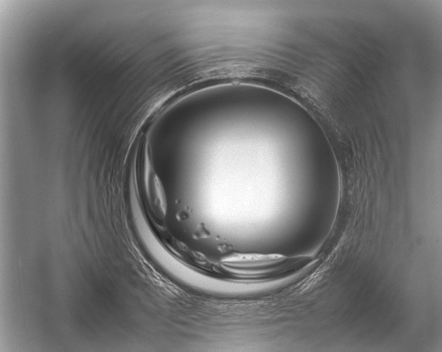 X0000057061081200509161445