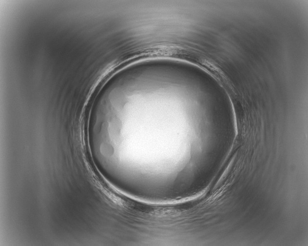 X0000057061083200509161445