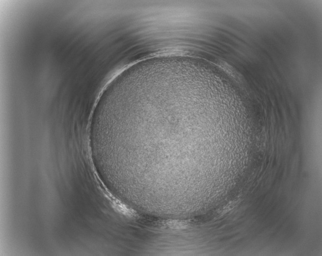 X0000057061086200509161445