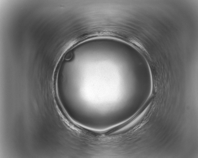 X0000057061087200509161445