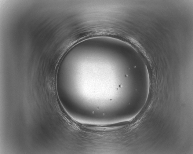 X0000057061089200509161445