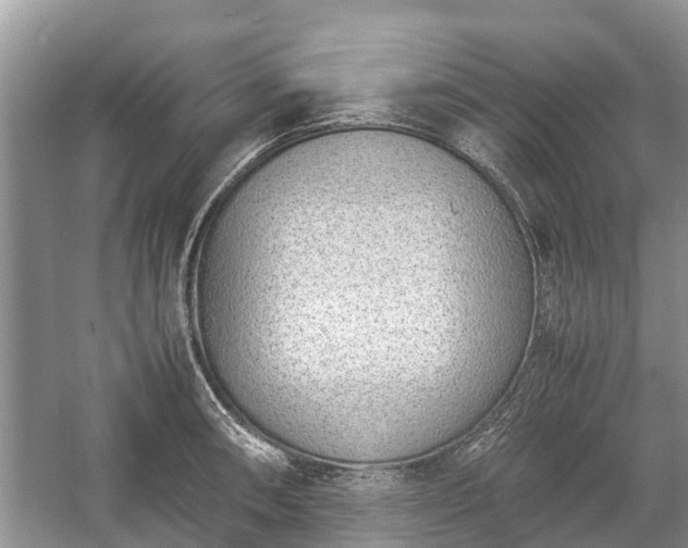 X0000057061090200509161445