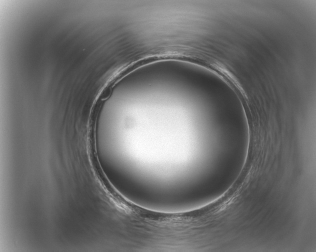 X0000057061093200509161445