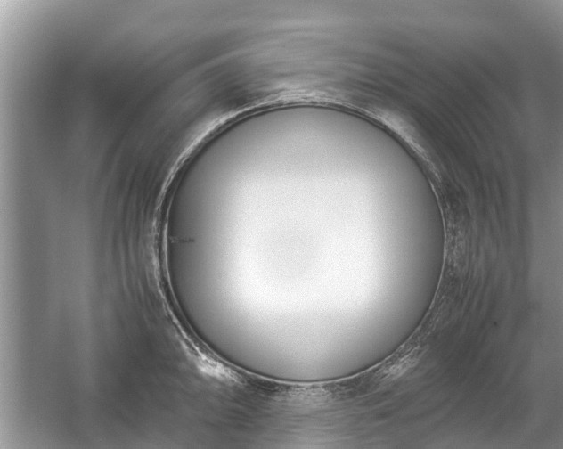 X0000057061094200509161445