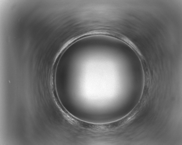 X0000057061101200509161445