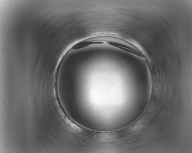 X0000057061102200509161445