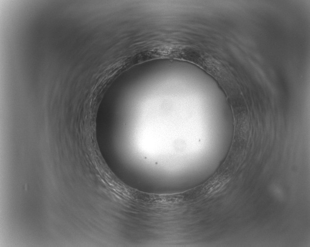 X0000057061105200509161444