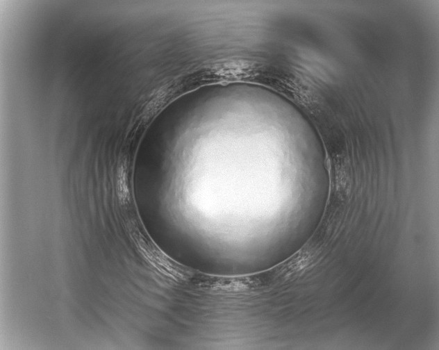 X0000057061106200509161444