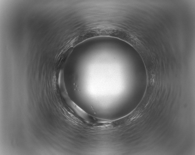 X0000057061108200509161444