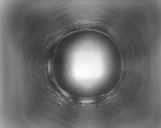 X0000057061109200509161444