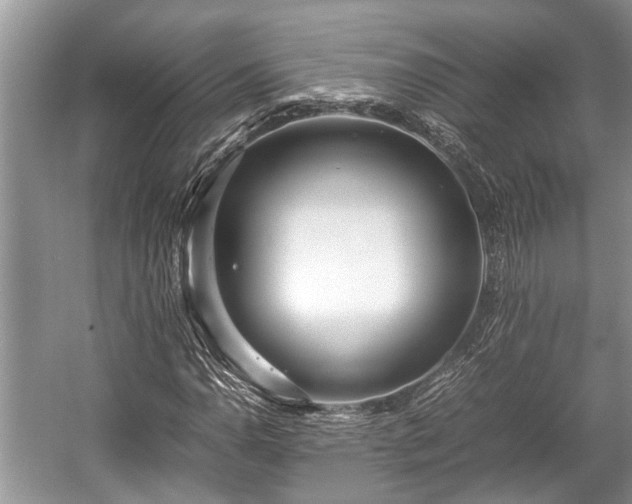 X0000057061110200509161444