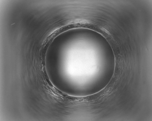 X0000057061112200509161444