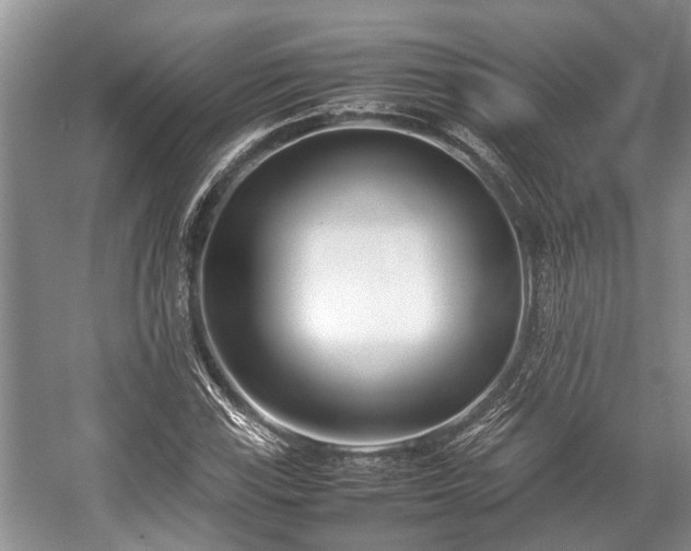 X0000057061115200509161444