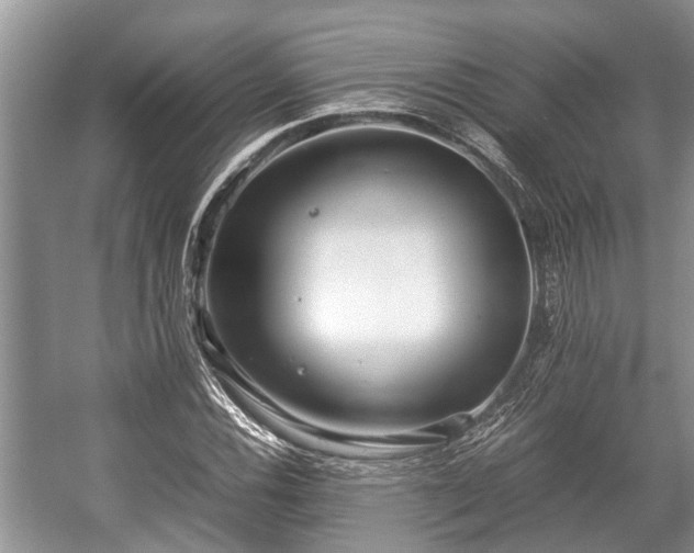 X0000057061116200509161444