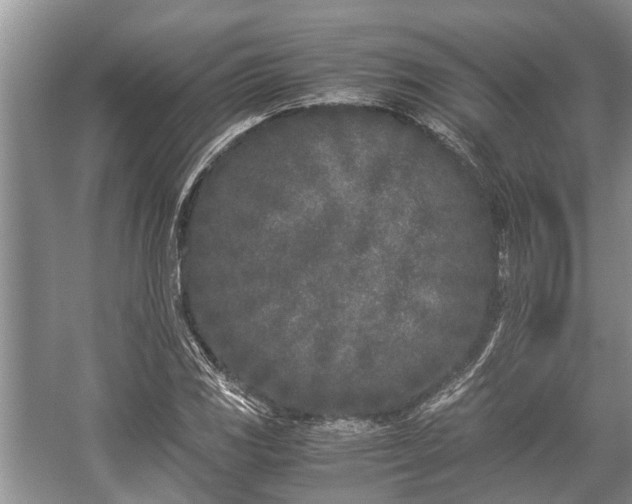 X0000057061117200509161444