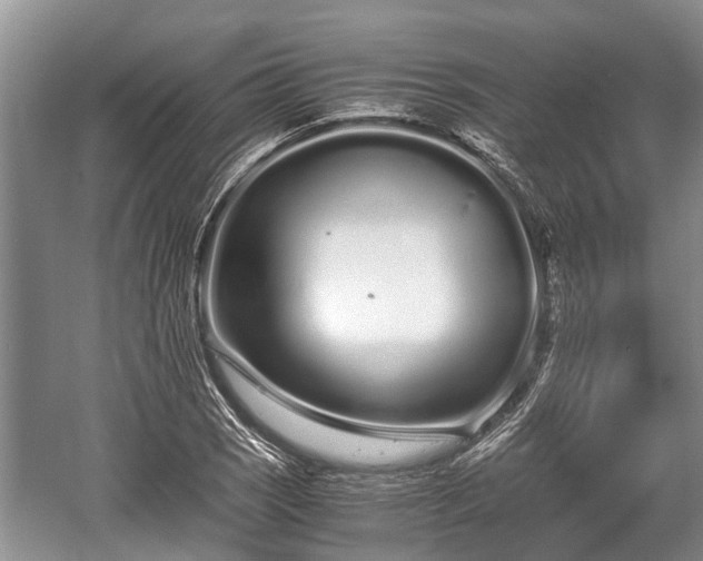 X0000057061121200509161444