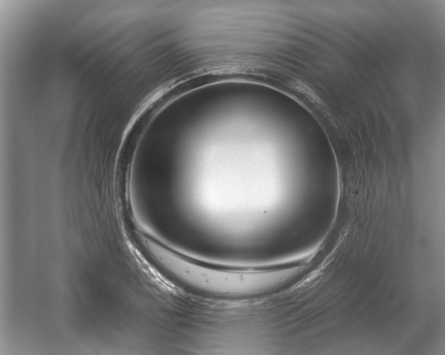 X0000057061122200509161444